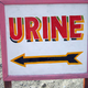 Illustration for article titled Yellow Gold: How Your Urine Could Save the World
